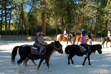 stage cirque poney 2016