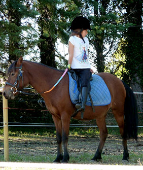 Poney Club Les Galopins de Teyran - Hérault 34